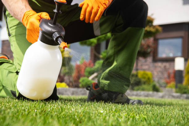 Best Spider Control Near Me  in Grantsburg, WI