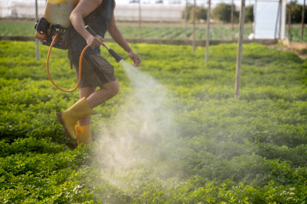 Best Affordable Exterminators  in Grantsburg, WI