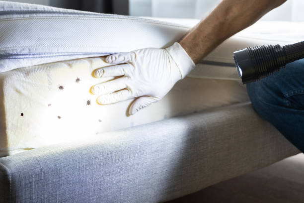 Grantsburg, WI Pest Control Company