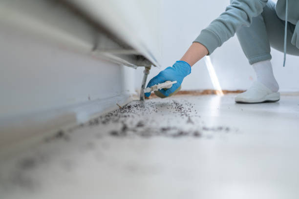 Best Rat Extermination Near Me  in Grantsburg, WI