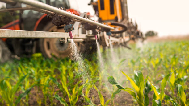 Best Mosquito Control Services  in Grantsburg, WI