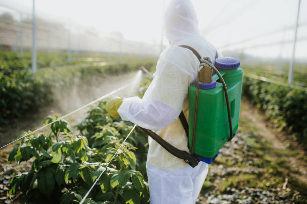 Best Emergency Pest Control  in Grantsburg, WI
